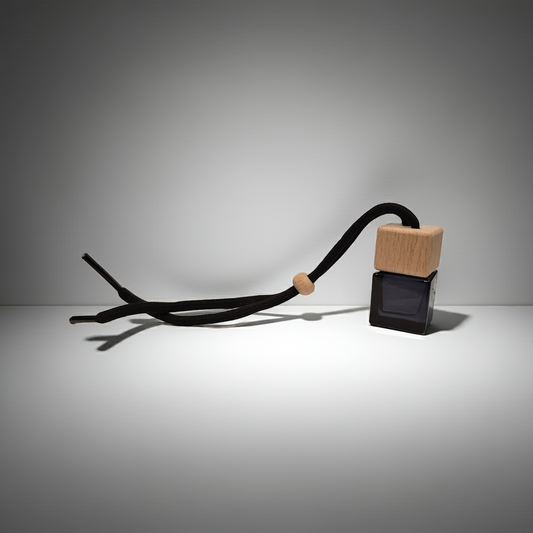 Hanging Car Diffuser