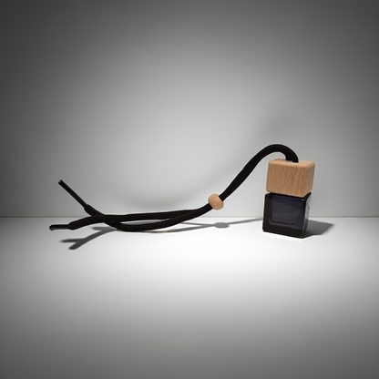 Hanging Car Diffuser